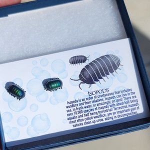 Color Changing Isopod Earrings Rolly Polly Bug